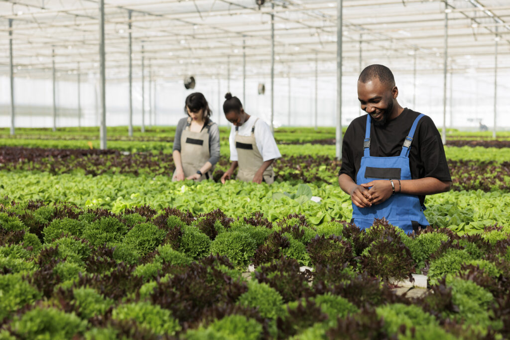 Kickstart Your Agriculture Career with Senwes Grainlink Learnership 2025/2026