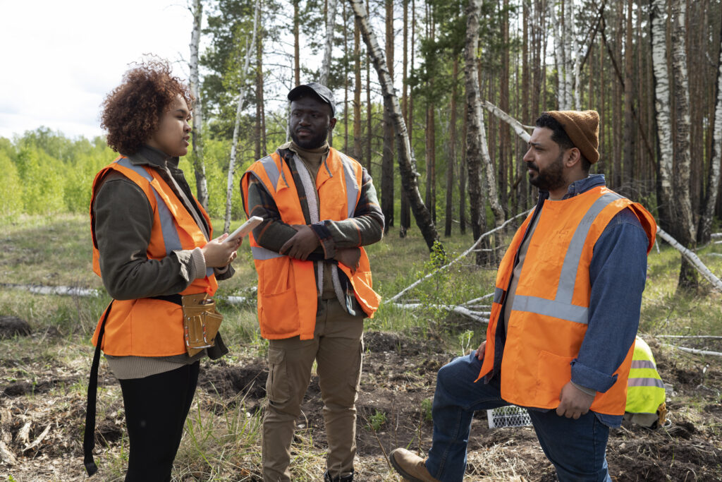 Stibium Mining Training Program 2026