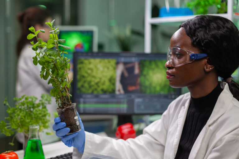 2026 CA Regulatory Internship Programme