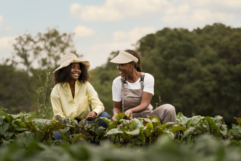 AgriFARM Learnership 2026 Opens