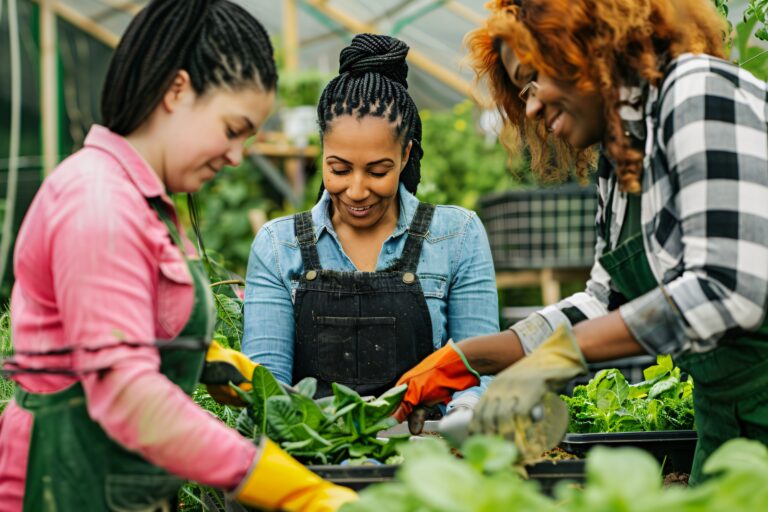Horticultural Learnership 2026